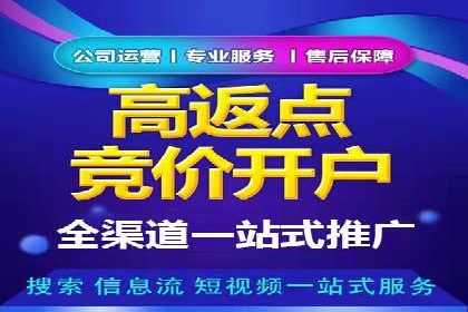 百度推广平台实战经验：从入门到精通